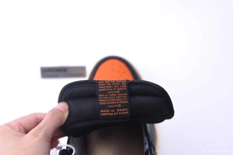 Backboard Jordan Shattered 3.0 555088-028 Air 1 0419